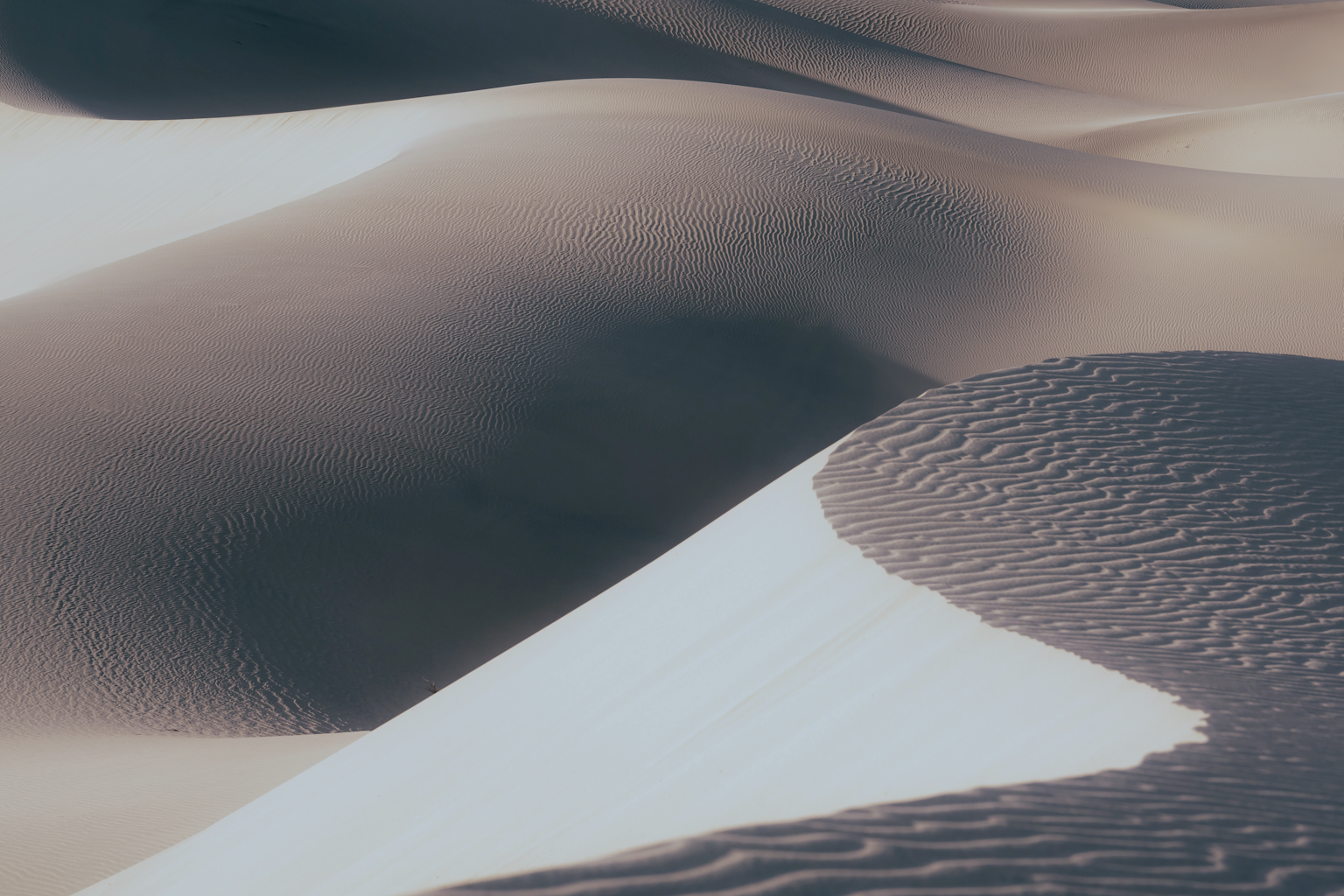 A curved sand dune crest with fine wind ripples in cool blue-grey light